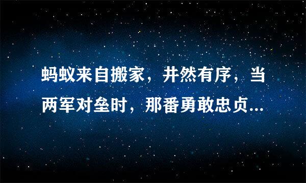 蚂蚁来自搬家，井然有序，当两军对垒时，那番勇敢忠贞的精神，真叫人敬佩。360问答改反问句？