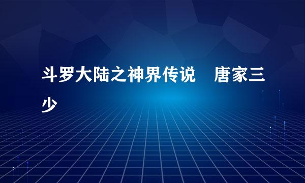 斗罗大陆之神界传说 唐家三少