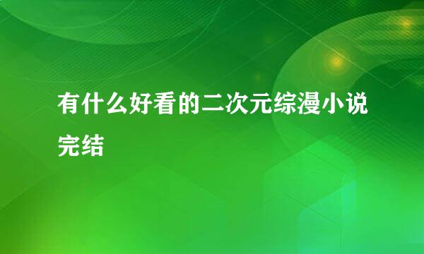 有什么好看的二次元综漫小说完结