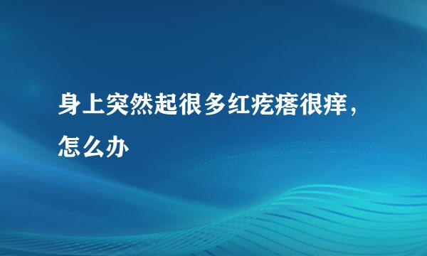 身上突然起很多红疙瘩很痒，怎么办