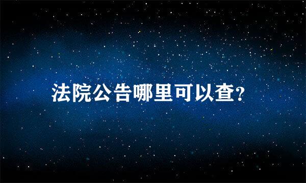 法院公告哪里可以查？