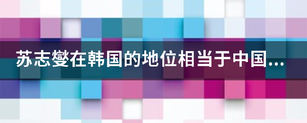 苏志燮在韩国的地位相当于中国哪位明星？