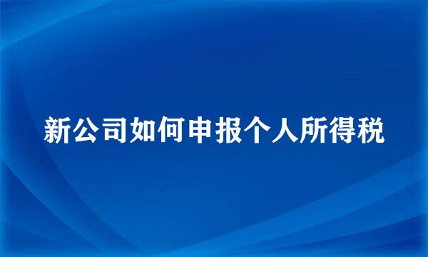 新公司如何申报个人所得税