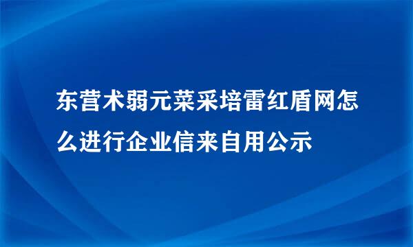 东营术弱元菜采培雷红盾网怎么进行企业信来自用公示