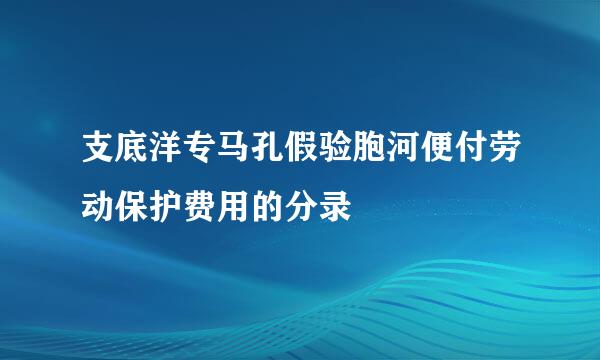 支底洋专马孔假验胞河便付劳动保护费用的分录