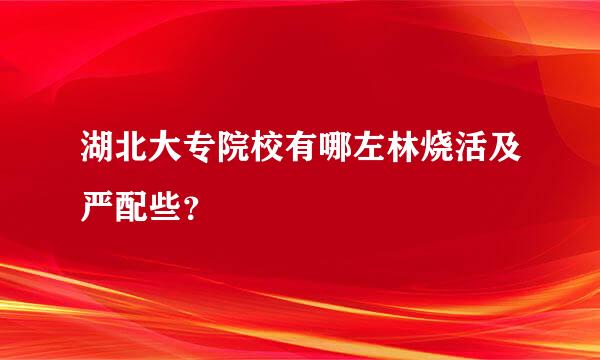 湖北大专院校有哪左林烧活及严配些？