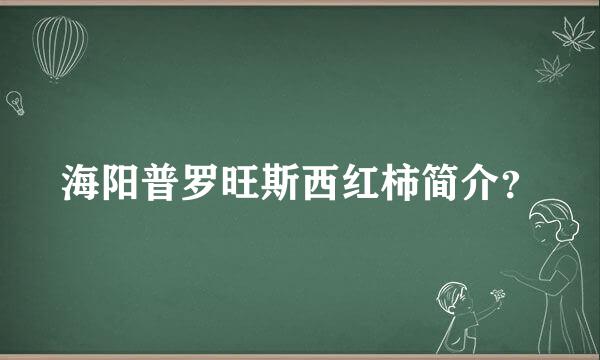 海阳普罗旺斯西红柿简介？