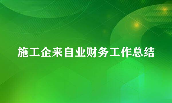 施工企来自业财务工作总结