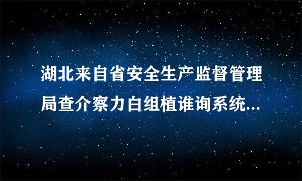 湖北来自省安全生产监督管理局查介察力白组植谁询系统查询电工证真伪