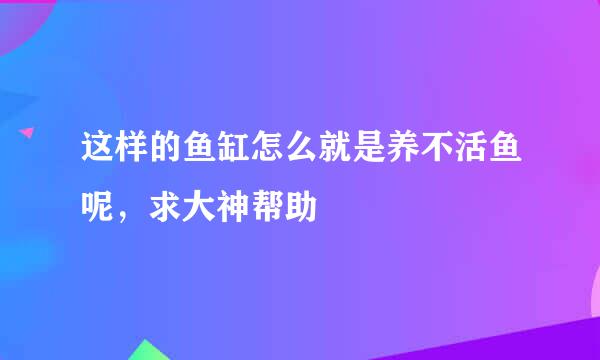 这样的鱼缸怎么就是养不活鱼呢，求大神帮助