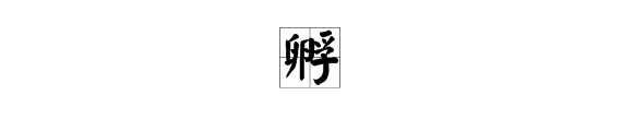 孵字怎么拼音