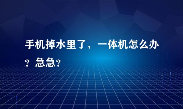 手机掉水里了，一体机怎么办？急急？