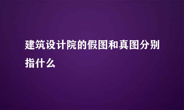 建筑设计院的假图和真图分别指什么