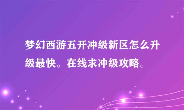 梦幻西游五开冲级新区怎么升级最快。在线求冲级攻略。