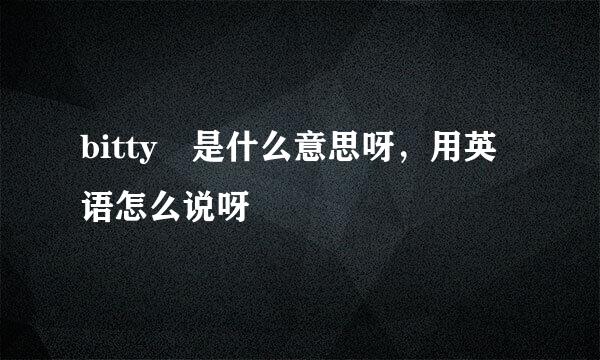 bitty 是什么意思呀，用英语怎么说呀