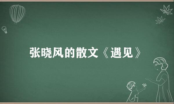 张晓风的散文《遇见》