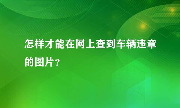 怎样才能在网上查到车辆违章的图片？