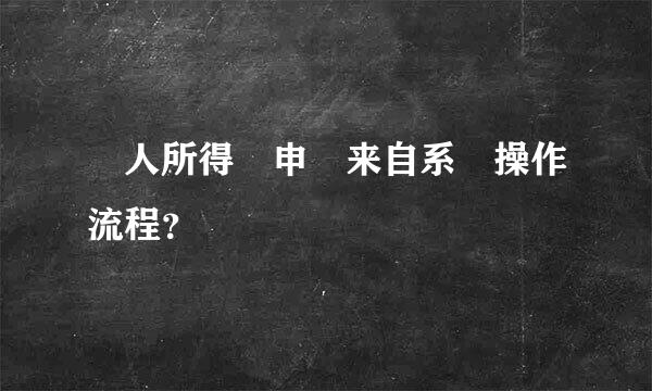 個人所得稅申報来自系統操作流程？