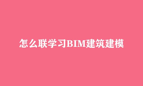 怎么联学习BIM建筑建模