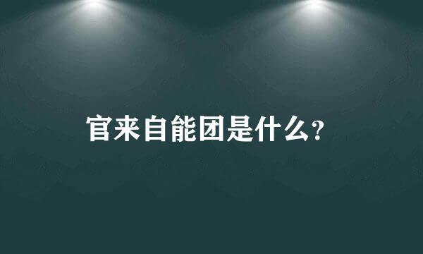 官来自能团是什么？