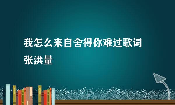 我怎么来自舍得你难过歌词 张洪量