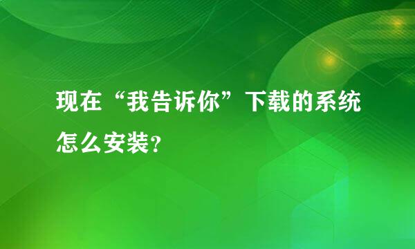 现在“我告诉你”下载的系统怎么安装？