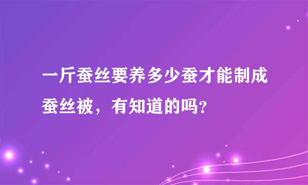 一斤蚕丝要养多少蚕才能制成蚕丝被，有知道的吗？