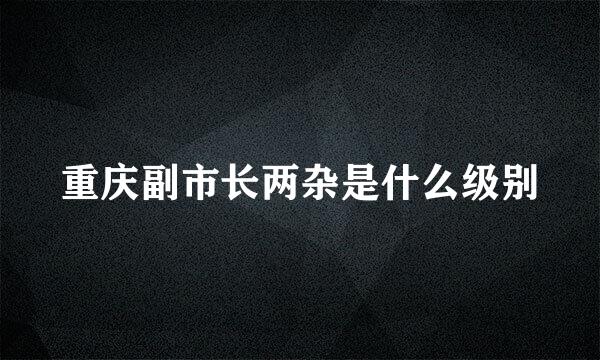 重庆副市长两杂是什么级别