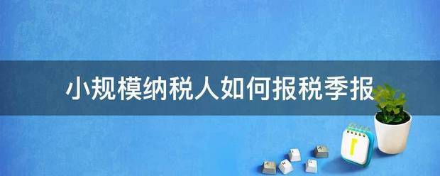 小规模纳税人如何报税季报