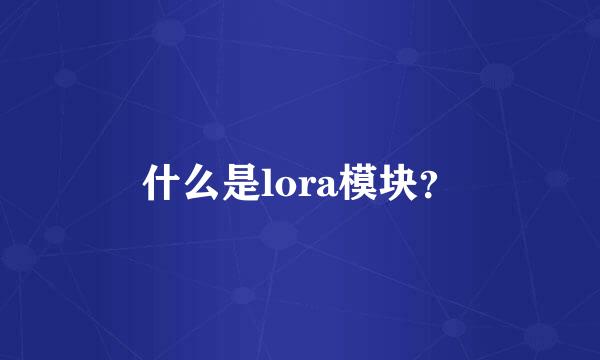 什么是lora模块？