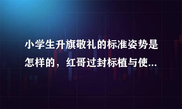 小学生升旗敬礼的标准姿势是怎样的，红哥过封标植与使婷强和军人敬礼是不是一样的。要是确定正确的，最好有详细说明。谢谢。