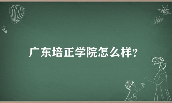 广东培正学院怎么样？