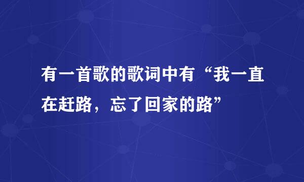 有一首歌的歌词中有“我一直在赶路，忘了回家的路”