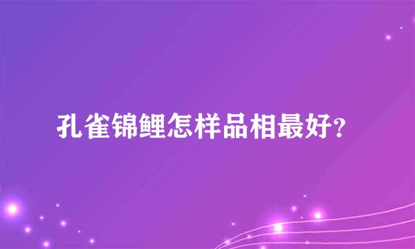 孔雀锦鲤怎样品相最好？