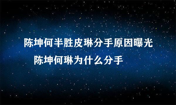 陈坤何半胜皮琳分手原因曝光 陈坤何琳为什么分手