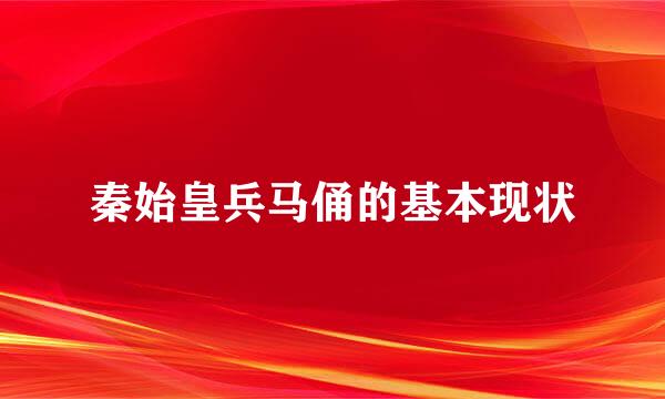 秦始皇兵马俑的基本现状