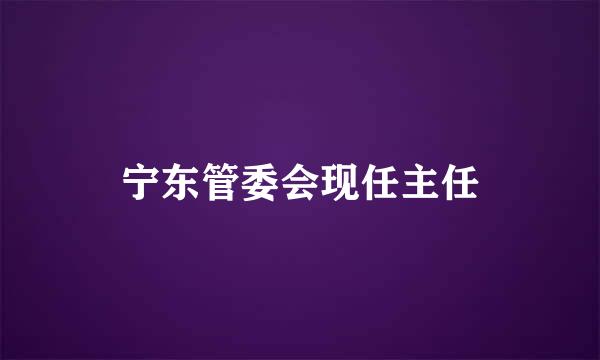 宁东管委会现任主任