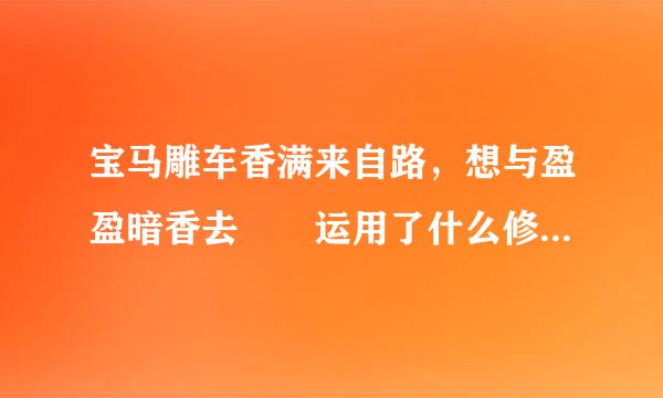 宝马雕车香满来自路，想与盈盈暗香去  运用了什么修辞手法   有什么作用