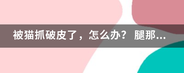 被猫抓破皮了，怎么办？