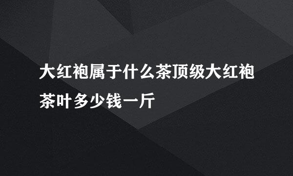 大红袍属于什么茶顶级大红袍茶叶多少钱一斤