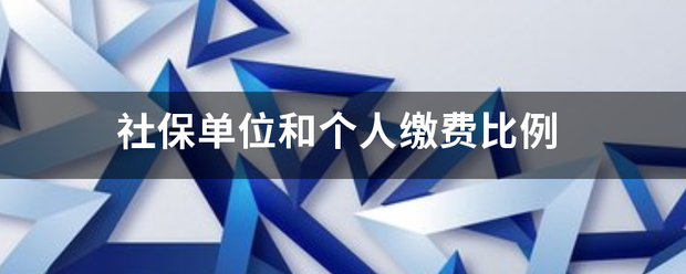 社保单位和个人缴费比例列批件额强列袁万纸他全