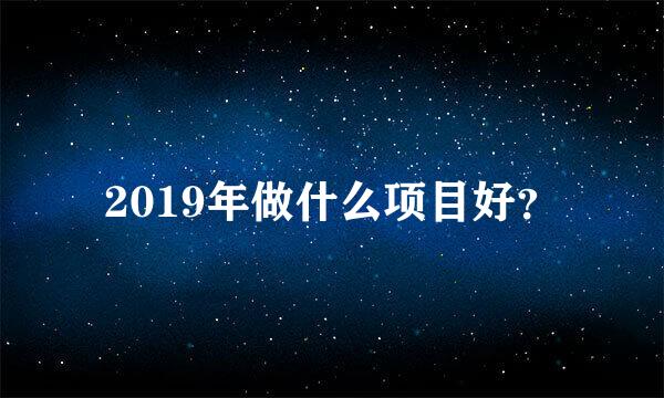 2019年做什么项目好？