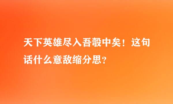 天下英雄尽入吾彀中矣！这句话什么意敌缩分思？