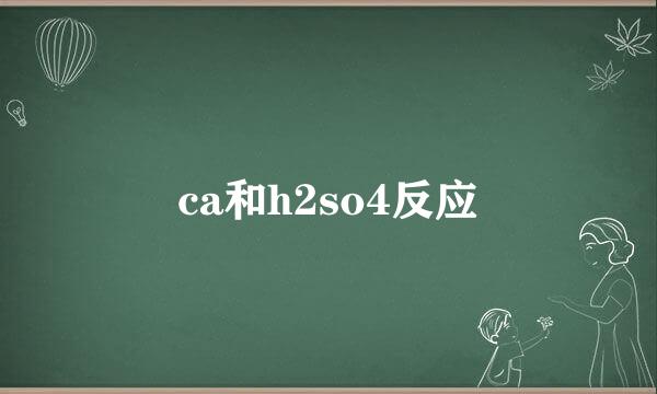 ca和h2so4反应