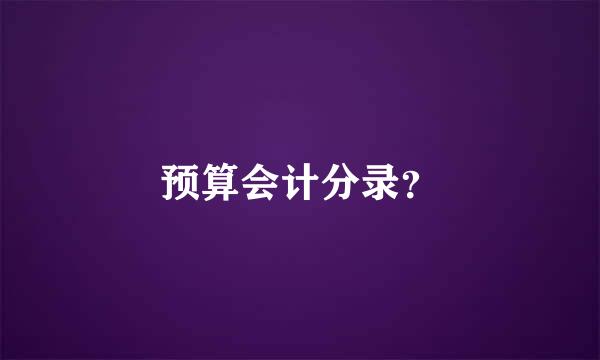 预算会计分录？