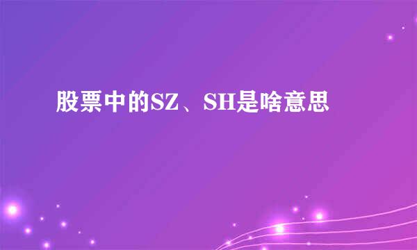 股票中的SZ、SH是啥意思