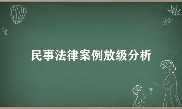 民事法律案例放级分析