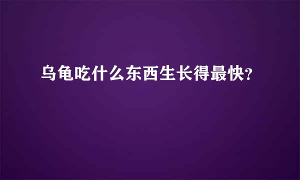 乌龟吃什么东西生长得最快？