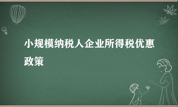 小规模纳税人企业所得税优惠政策