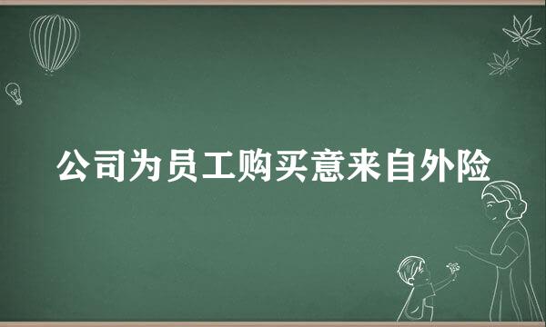 公司为员工购买意来自外险